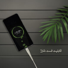 کابل تبدیل USB به USB-C بیاند مدل BUC-301 FAST CHARGE طول 1 متر بسته ده عددی