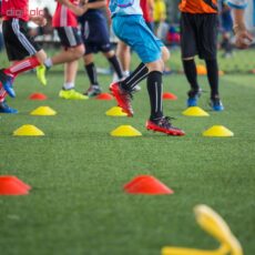 مانع تمرین مدل Training Cones 2019 در 4 رنگ مجموعه 20 عددی به همراه پایه نگهدارنده