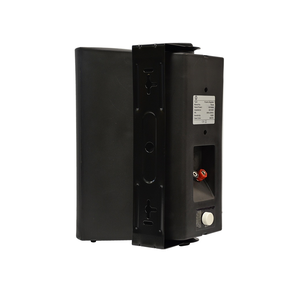 بلندگو پسیو تکنو آوا مدل TS-60