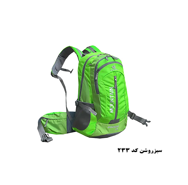 کوله پشتی کوهنوردی 30 لیتری دیوتر مدل APP-231