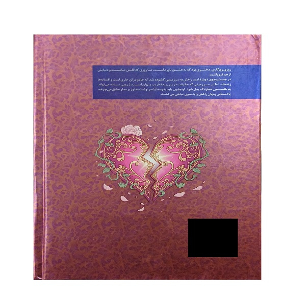 کتاب روزی روزگاری دلی شکسته اثر استفانی گاربر ترجمه پرنیان فرخ نژاد نشر کتاب مجازی