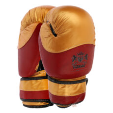 دستکش بوکس تورج  مدل fiter pro 2026