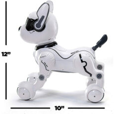 ربات کنترلی مدل DOG K14