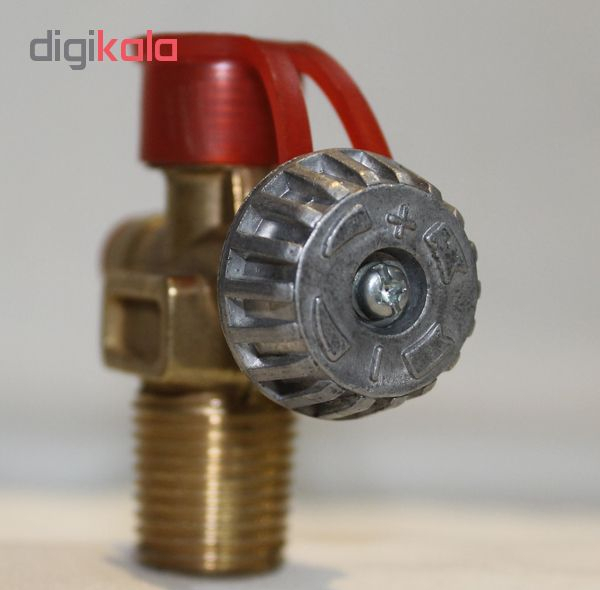 اجاق گاز پیکنیکی مدل TE-02 حجم 2 کیلوگرم