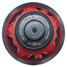 ساب ووفر پشت خودرو اکتیو سون مدل AC-715-12 سایز 12 اینچ