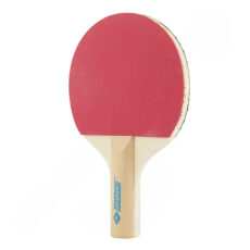 راکت پینگ پنگ دانیک شیلدکروت مدل Mini Tenis به همراه تور و توپ