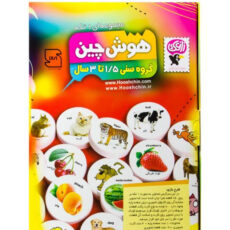 بازی آموزشی زاغک مدل هوش چین یک تکه