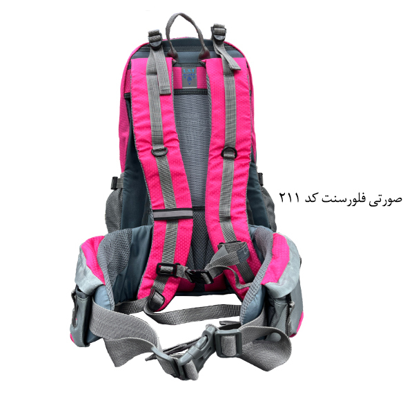 کوله پشتی کوهنوردی 30 لیتری دیوتر مدل APP-115