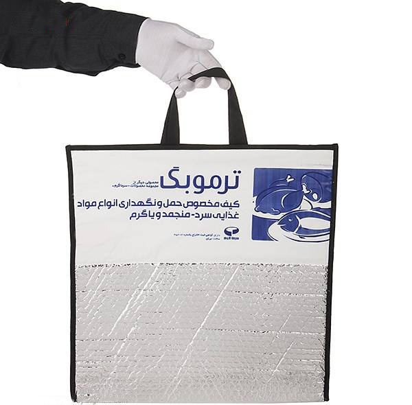 کیف خنک نگهدارنده سرماگرم مدل ترموبگ