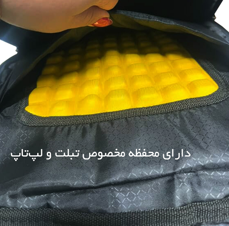 کوله پشتی سفری مدل BNT800106