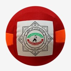 توپ هندبال مدل داژبال کد 2021WADBC