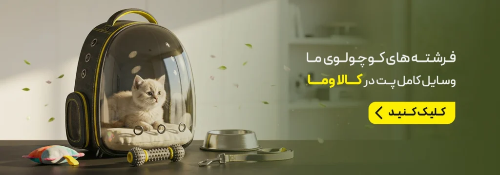 خرید محصولات دیجیتال