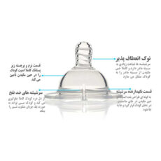 سر شیشه شیر تویست شیک مدل Ts120816 بسته 2 عددی