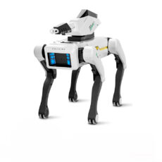 ربات کنترلی مدل Smart Dog