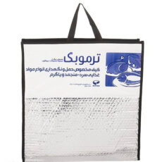 کیف خنک نگهدارنده سرماگرم مدل ترموبگ