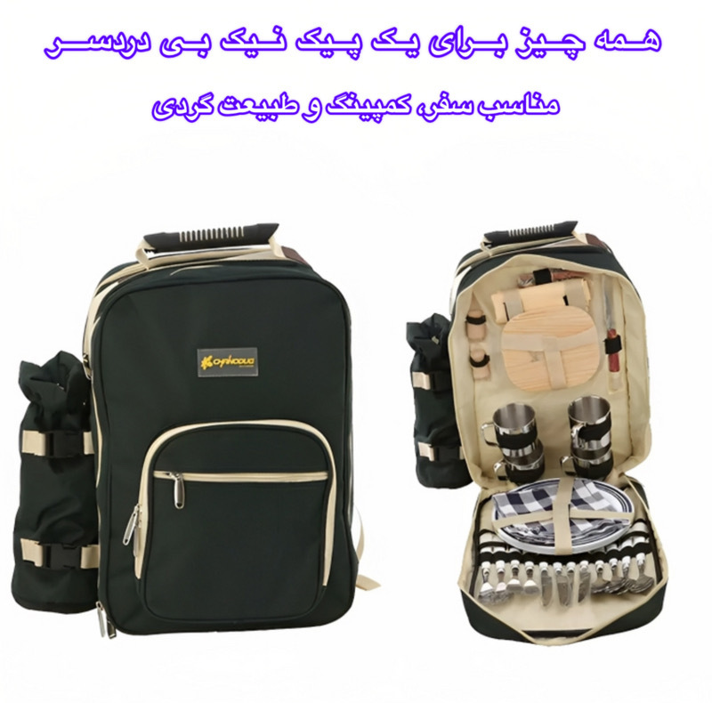 کوله پشتی پیک نیک مدل A0