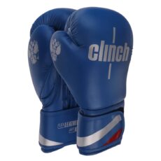 دستکش بوکس مدل Fiter pro 2025