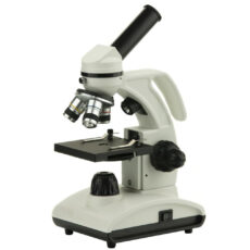 میکروسکوپ مدل زیستی کد Focus2 به همراه نمونه آماده