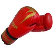 دستکش بوکس مدل   PRO GEAR 2020