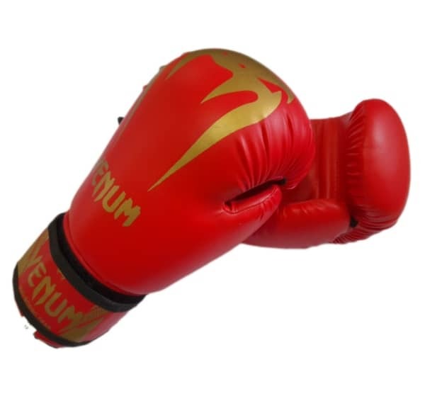 دستکش بوکس مدل PRO GEAR 2020