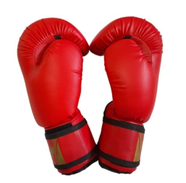 دستکش بوکس مدل PRO GEAR 2020