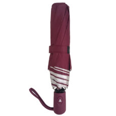 چتر هپی اسوان مدل HS04