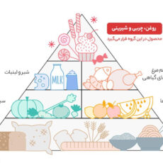 روغن سرخ کردنی غنچه -1620 گرم