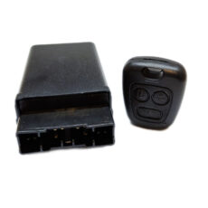 کیت ریموت و رله دزدگیر خودرو چیکال مدل P-841 مناسب برای پراید 131/132 بسته 2 عددی
