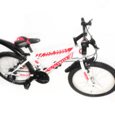 دوچرخه کوهستان المپیا مدل WR 1200 سایز 20