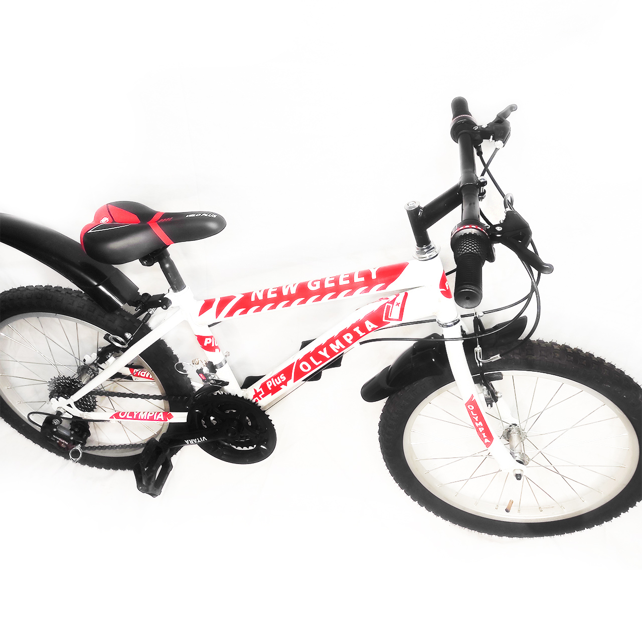 دوچرخه کوهستان المپیا مدل WR 1200 سایز 20