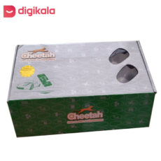 دزدگیر خودرو چیتا مدل Neen