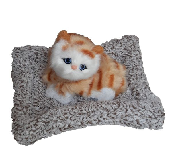 عروسک مدل گربه خوابیده روی تشک کد 02 طول 20 سانتی متر