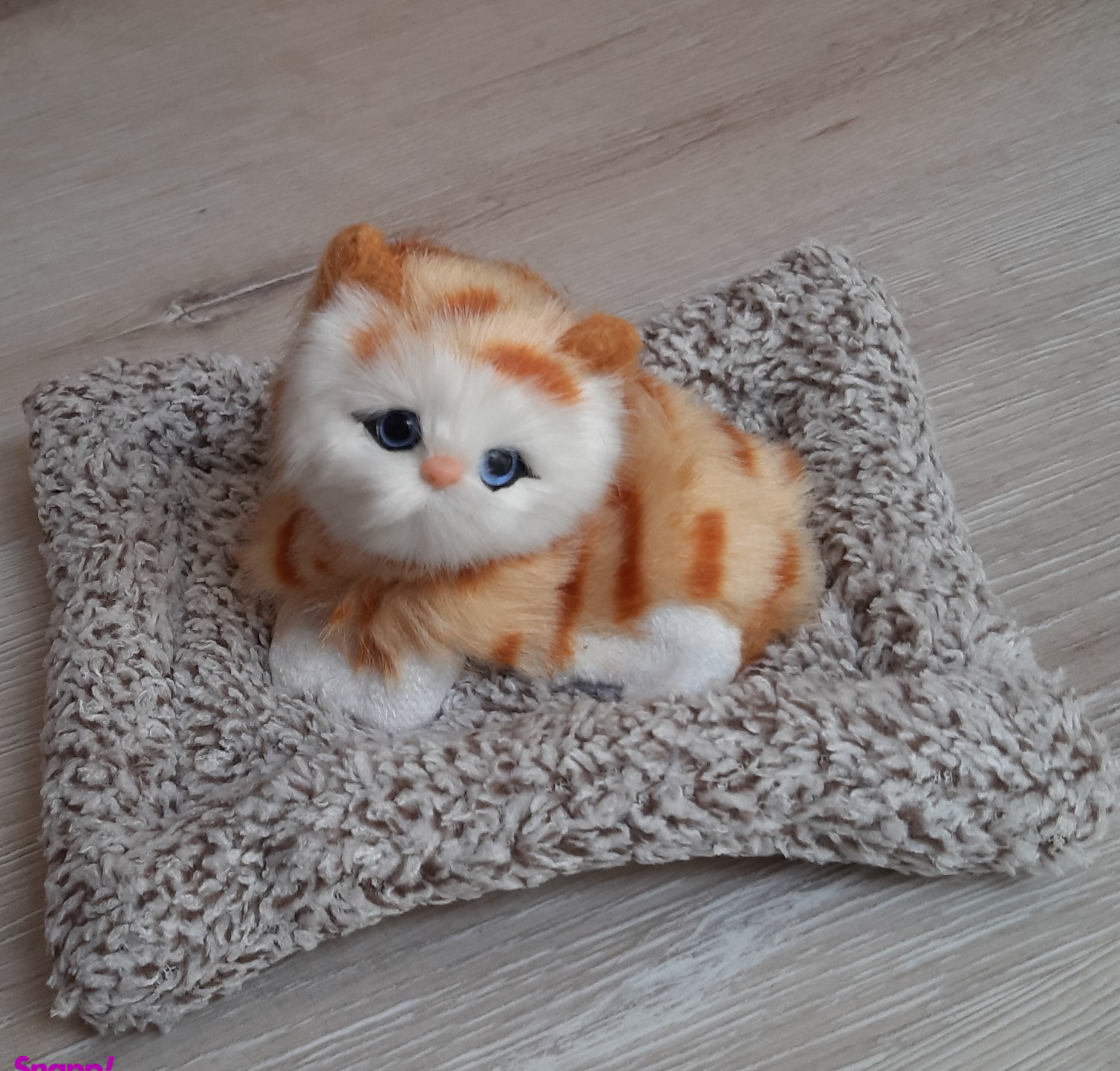 عروسک مدل گربه خوابیده روی تشک کد 02 طول 20 سانتی متر