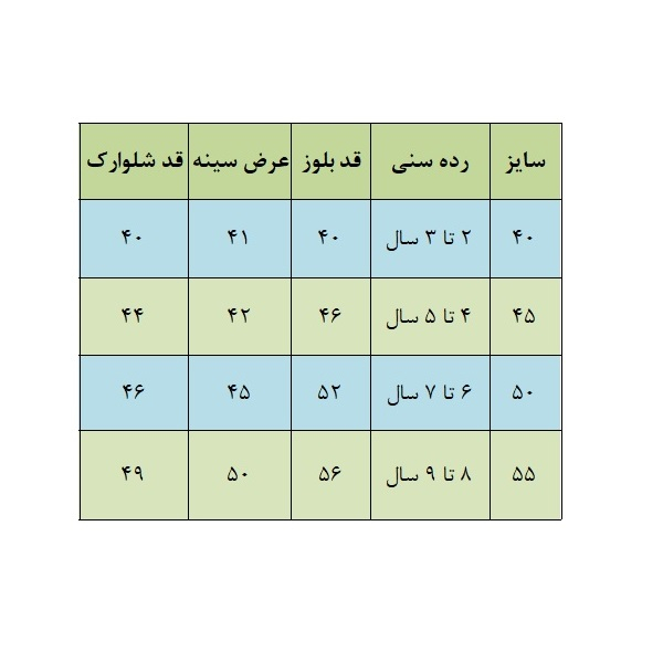 ست تیشرت آستین کوتاه و شلوارک راحتی پسرانه مدل DUNKS AIK