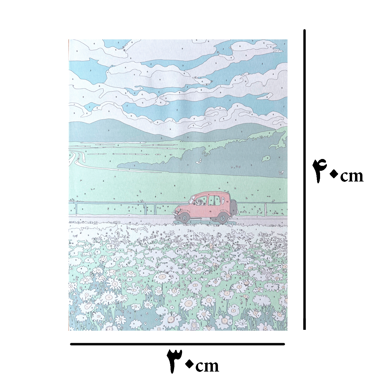 بازی آموزشی رنگ آمیزی بزرگسال مدل بوم آبرنگی طرح جاده بابونه ها سایز 30×40 سانتی متر