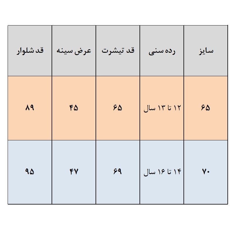 ست تی شرت و شلوار راحتی پسرانه مدل 54