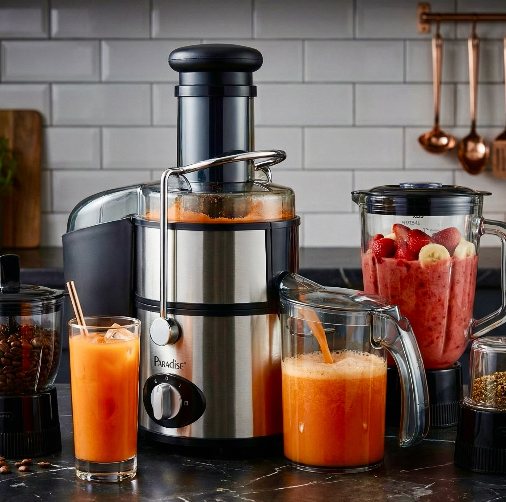 آبمیوهگیری چند کاره پارادایس مدل P-210