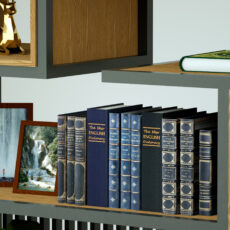 گاوصندوق کتابی مخفی سدید مدل Safebox