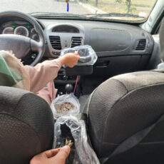 سطل زباله خودرو سام سالو مدل Doبه همراه جای دستمال مجموعه سه عددی
