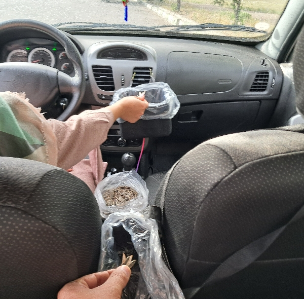 سطل زباله خودرو سام سالو مدل Doبه همراه جای دستمال مجموعه سه عددی
