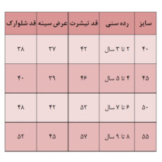 ست تی شرت و شلوارک پسرانه مدل SUNDAY