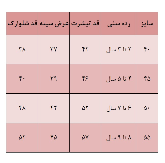 ست تی شرت و شلوارک پسرانه مدل SUNDAY