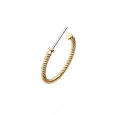 گوشواره حلقه‌ای زنانه پاول هویت مدل ROPE HOOP