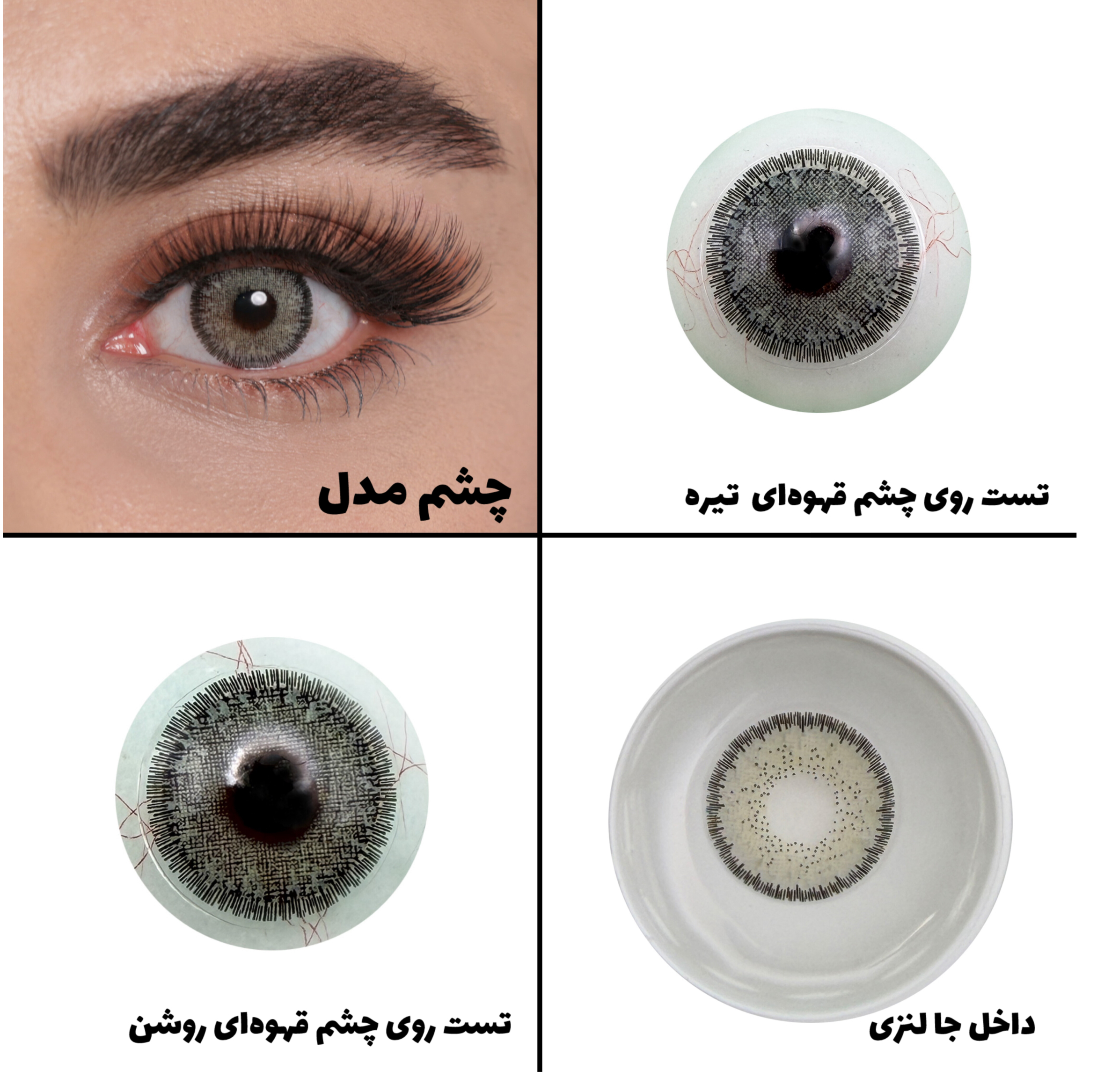 لنز چشم رویال ویژن مدل LUMIRERE GRAY کد 05 رنگ طوسی سبز دوردار