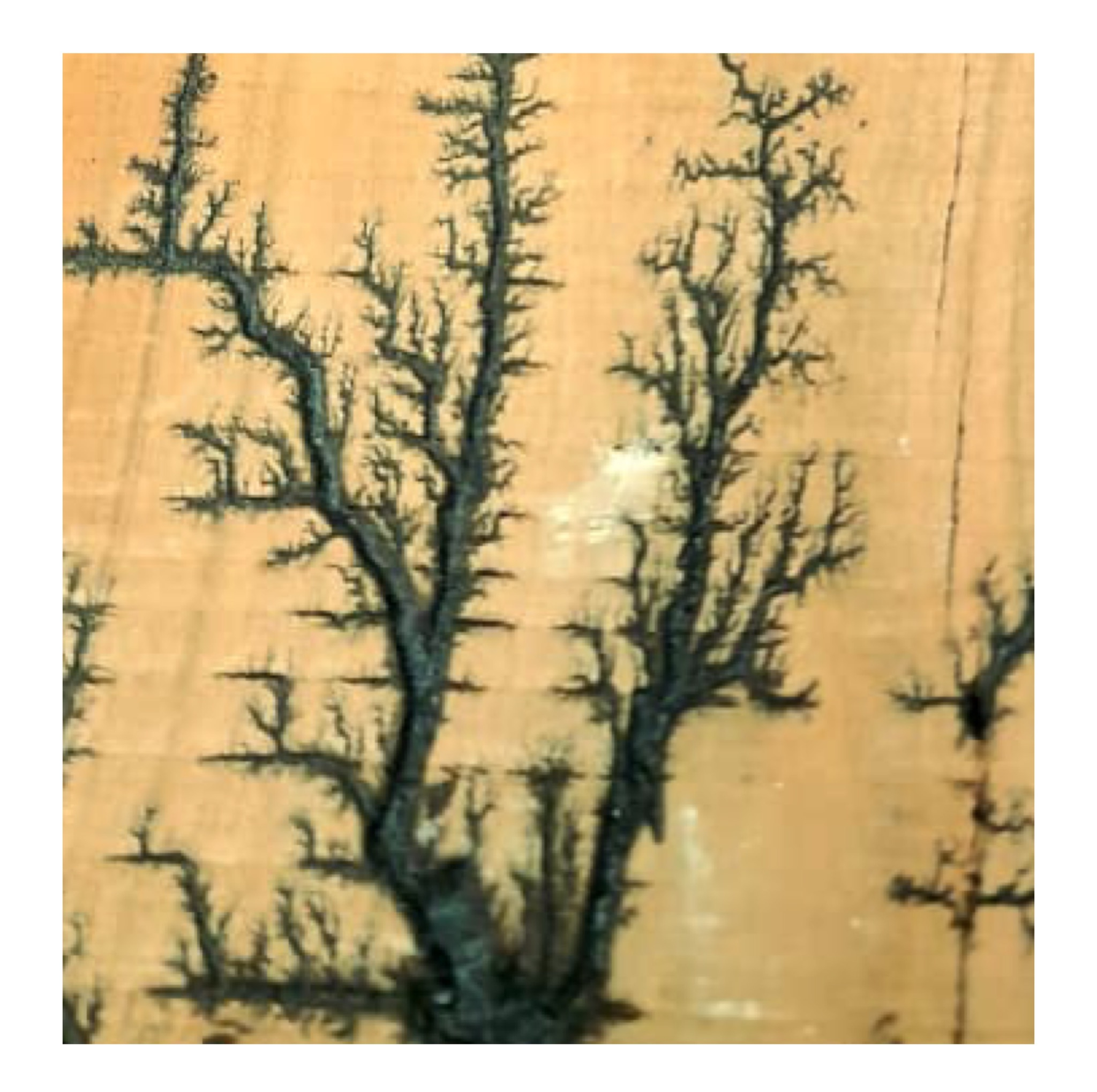 تخته چوب مدل سوخته کاری طرح شجر کد-4