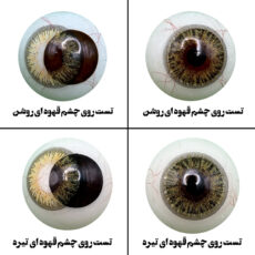 لنز چشم هرا مدل 18 سالانه کد FA320 رنگ سبز عسلی تیره دوردار