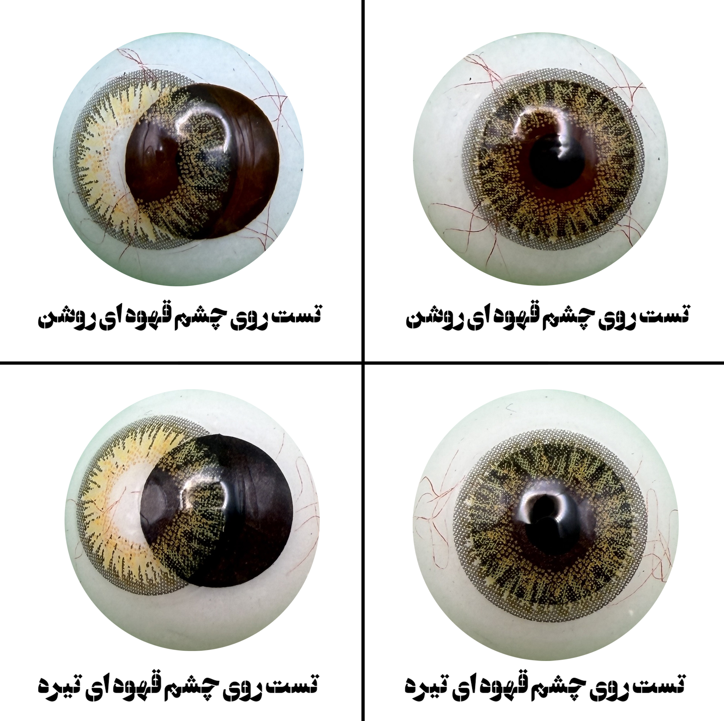 لنز چشم هرا مدل 18 سالانه کد FA320 رنگ سبز عسلی تیره دوردار
