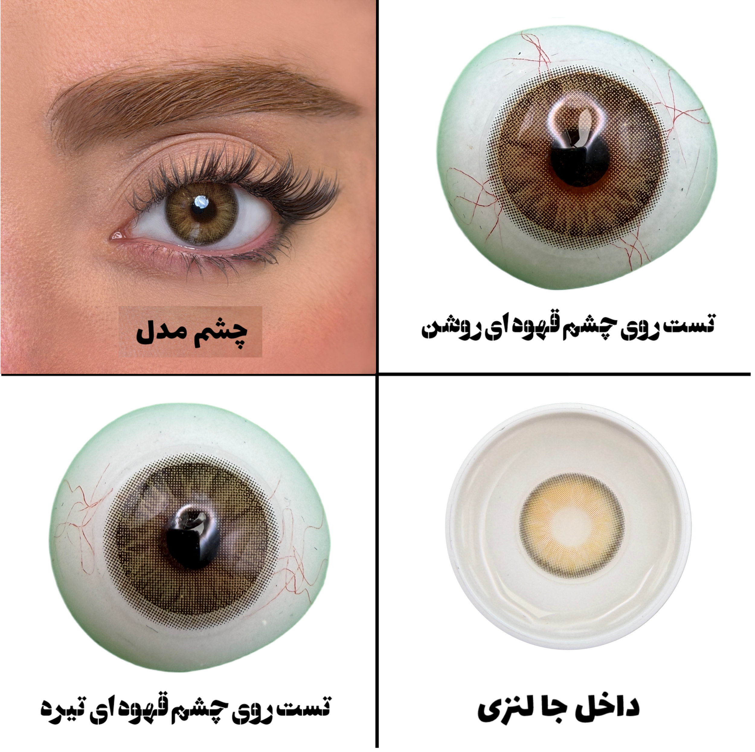 لنز چشم رز مدل CLARA HAZEL رنگ عسلی دوردار