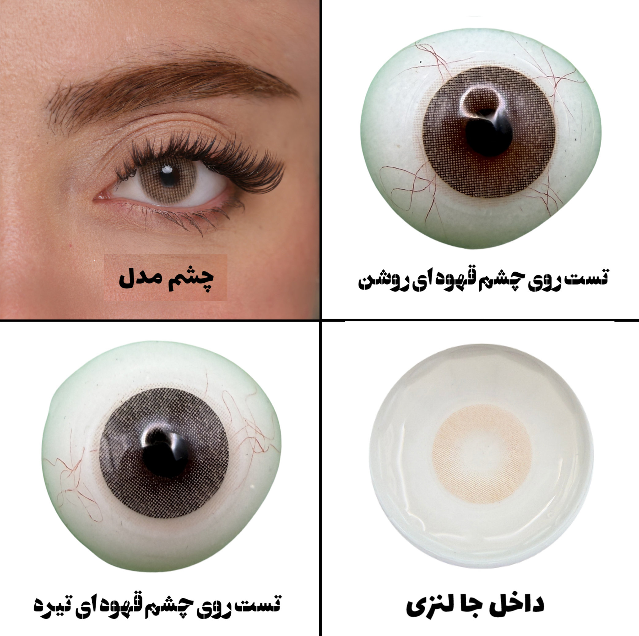 لنز چشم هرا گریس تمیم کانتکت لنز مدل LUMINO HAZEL کد 29 رنگ عسلی خاکی روشن بدون دور