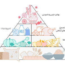 برنج هاشمی ممتاز گلستان مقدار 4.5 کیلوگرم